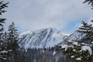 Obraz premium Blick auf den Hochmiesing nahe Soingraben