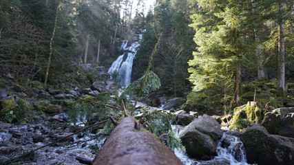 cascade for&ecirc;t nature