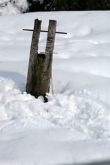 neve campagna