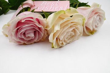 Bouquet of pale pink roses and Best Wishes card lay on the white background