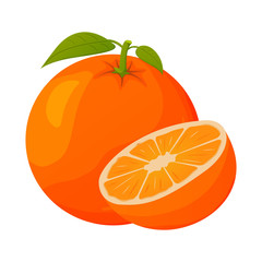 Realistic orange fruit with a slice. Ripe tropical fruit. Vector illustration.
