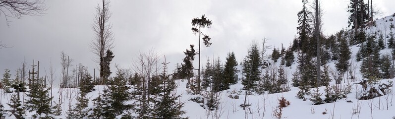 Panorama einer Wilden bayrischen Landschaft im Winter