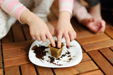 Close-up of children's hands planting flowers and vegetables in small biodegradable seedling pots. Children helping with spring chores.