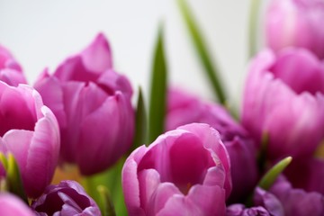Fototapeta premium bouquet of pink tulips