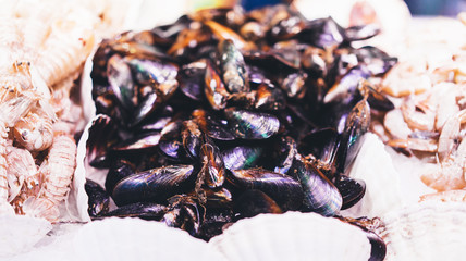 mussels on supermarket, sea food market, fresh seafood, shellfish, aphrodisiac mollusca