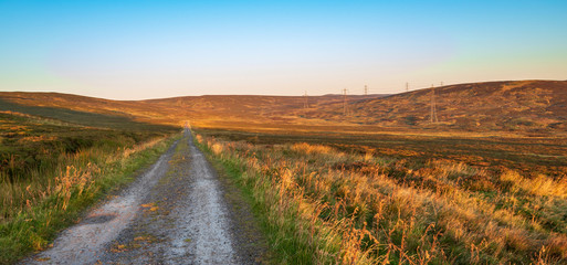 Sunrise light, Muirshiel Country Park, Renfrewshire, Scotland