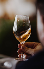 White and rose wine close up view glass and carafe wine. 