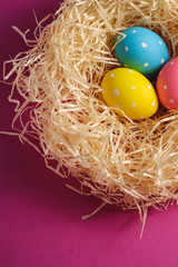 Colorful polka dot Easter eggs in wooden nest on pink purple plain background, greeting card, copy space, top view