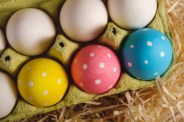 Fototapeta na wymiar Colorful polka dot Easter eggs in egg tray on wooden nest, greeting card, top view