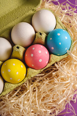 Colorful polka dot Easter eggs in egg tray on wooden nest on purple violet, greeting card, top view