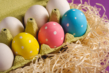 Colorful polka dot Easter eggs in egg tray on wooden nest on purple violet, greeting card, angle view closeup