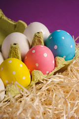 Colorful polka dot Easter eggs in egg tray on wooden nest on purple violet, greeting card, angle view closeup