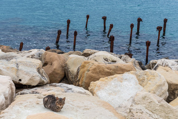 The waterfront of Limassol in Cyprus