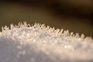 crystal ice on wood and plants in winter time