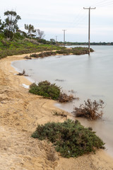 Fototapeta na wymiar View of the Larnaca salt lake in Cyprus
