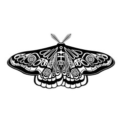 Fototapeta na wymiar Night moth, butterfly. Vector illustration. Half open wings. Design element isolated on white