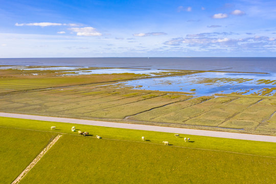 Aerial view sea dike national park Waddensea