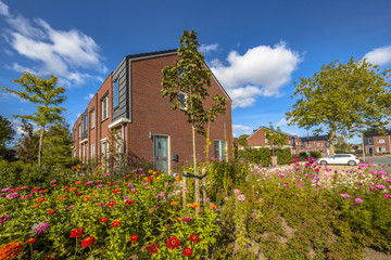 Street modern houses