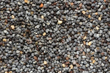Macro of dried poppy seeds as a background.