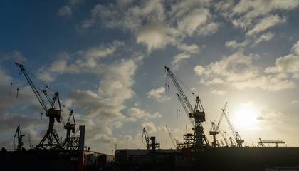hamburg harbor cranes that look like giraffes, germany