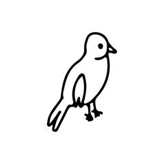 Bird in doodle style on an isolated white background. Stock vector illustration