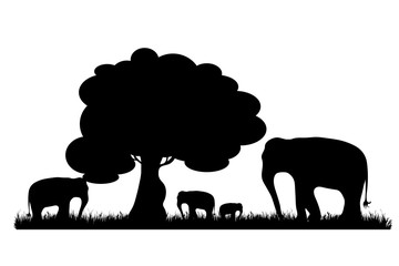 Vector silhouette of wild elephant in Africa on white background. Symbol of nature.
