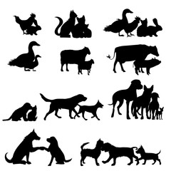 Collection of vector illustration different animals. Symbol of friends and nature.
