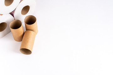 Three rolls of toilet paper and three bushes from them lie on a white table in the upper left corner, and two bushes stand upright.