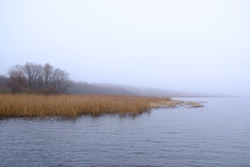A moody landscape, an empty misty lake - peace and quiet. Kamien Pomorski, Poland