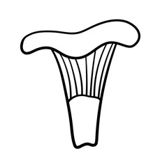 Isolated Chanterelle Mushroom in black lines on white background