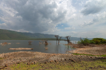 Lake Bogoria is a saline, alkaline lake,  Africa