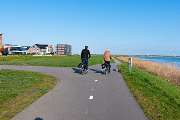 Fototapeta premium path in zeewolde netherlands flevoland