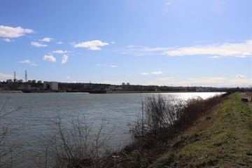 Le fleuve Rh&ocirc;ne &agrave; Pierre B&eacute;nite - Ville de Pierre B&eacute;nite - D&eacute;partement du Rh&ocirc;ne - France