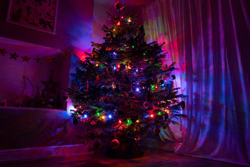Colorful Christmas tree in darkness 
