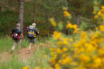 Peregrinos en el Camino de Santiago Primitivo descendiendo al embalse asturiano de Grandas de...