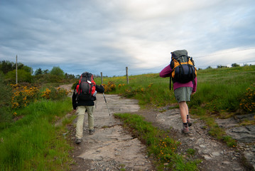 Peregrinos en el Camino de Santiago Primitivo entre las localidades asturianas de Berducedo y La...