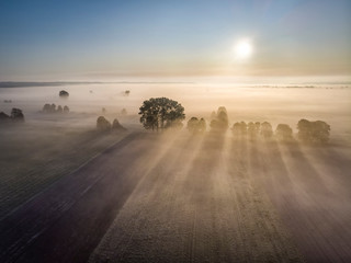 Promienie słońca wśród mgieł nad polami Wielkopolski