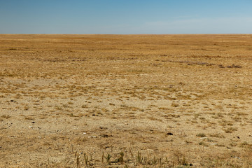 steppe in Kazakhstan