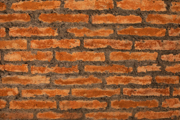 Backsteinmauer als Hintergrund.