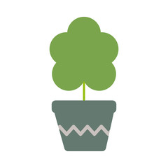 houseplant with potted on white background