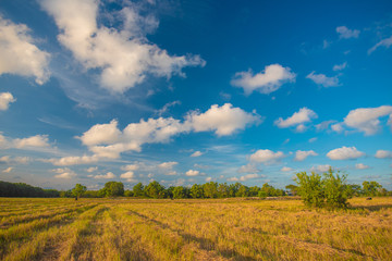 blue sky and white clouds.