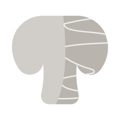 fresh and healthy vegetable, champignon on white background