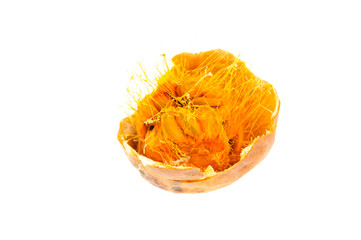 Trichosanthes kirilowii on a white background