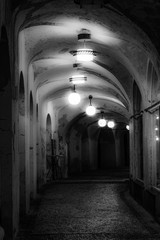 Fototapeta premium bw hollway