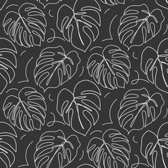 Continuous line monstera leaf. Tropical leaves contour drawing © yana2607
