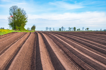 Field with plowed furrows in a rural landscape