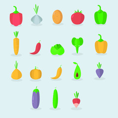 vegetable icon illustration collection. flat design illustration