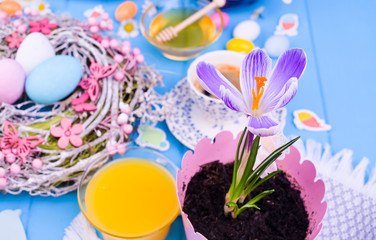 Crocus on the table with easter breakfast. Bright colors, painted eggs and decor. Copy space