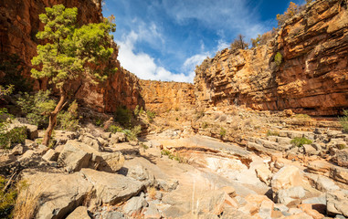 Fototapeta premium Rocky desert canyon