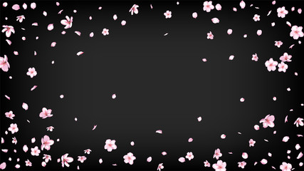Nice Sakura Blossom Isolated Vector. Beautiful Showering 3d Petals Wedding Border. Japanese Bokeh Flowers Wallpaper. Valentine, Mother's Day Realistic Nice Sakura Blossom Isolated on Black